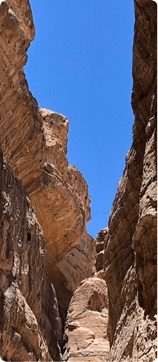SIQ