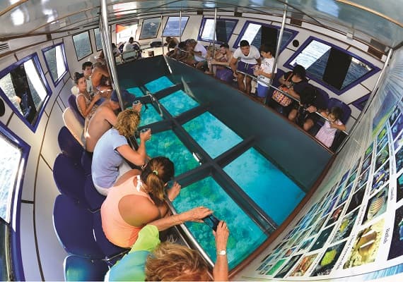Glass-Bottom Boat Discovery with Snorkeling (2 Hours)
