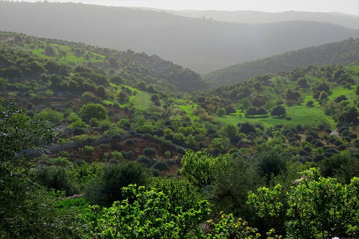 Adventure Nature Jordan Tour — 9 Days